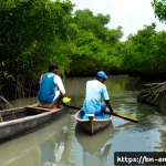 Home 23 환경학 연구 방법 - Photorealistic environmental science field study in the lush Sundarbans mangrove wetlands of Banglad...